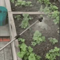 ADAMANTA-products-454x454.gif